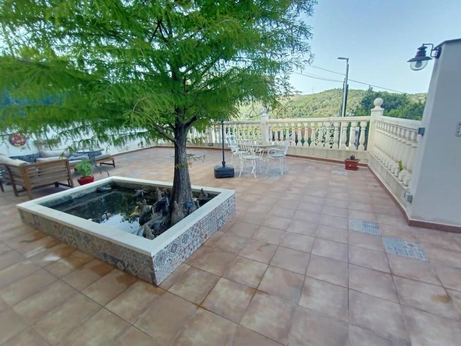 Villa Falconera Apartaments, Gandia A Las Faldas De La Montana Zewnętrze zdjęcie