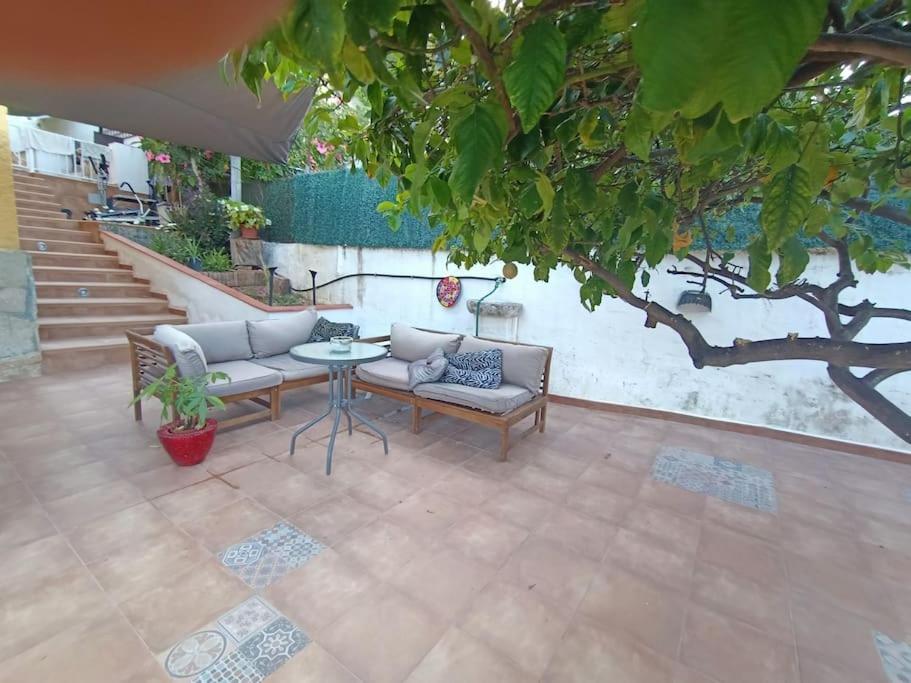 Villa Falconera Apartaments, Gandia A Las Faldas De La Montana Zewnętrze zdjęcie