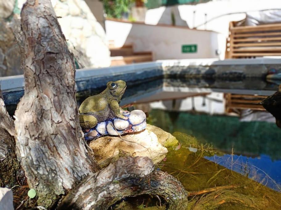 Villa Falconera Apartaments, Gandia A Las Faldas De La Montana Zewnętrze zdjęcie