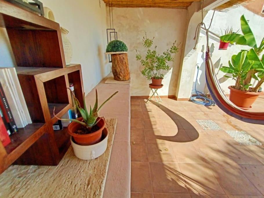 Villa Falconera Apartaments, Gandia A Las Faldas De La Montana Zewnętrze zdjęcie