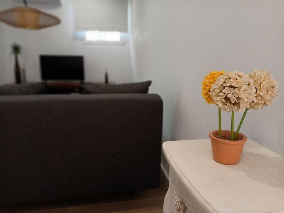 Villa Falconera Apartaments, Gandia A Las Faldas De La Montana Zewnętrze zdjęcie