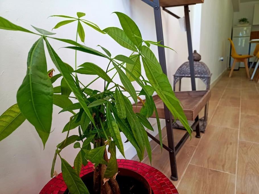Villa Falconera Apartaments, Gandia A Las Faldas De La Montana Zewnętrze zdjęcie